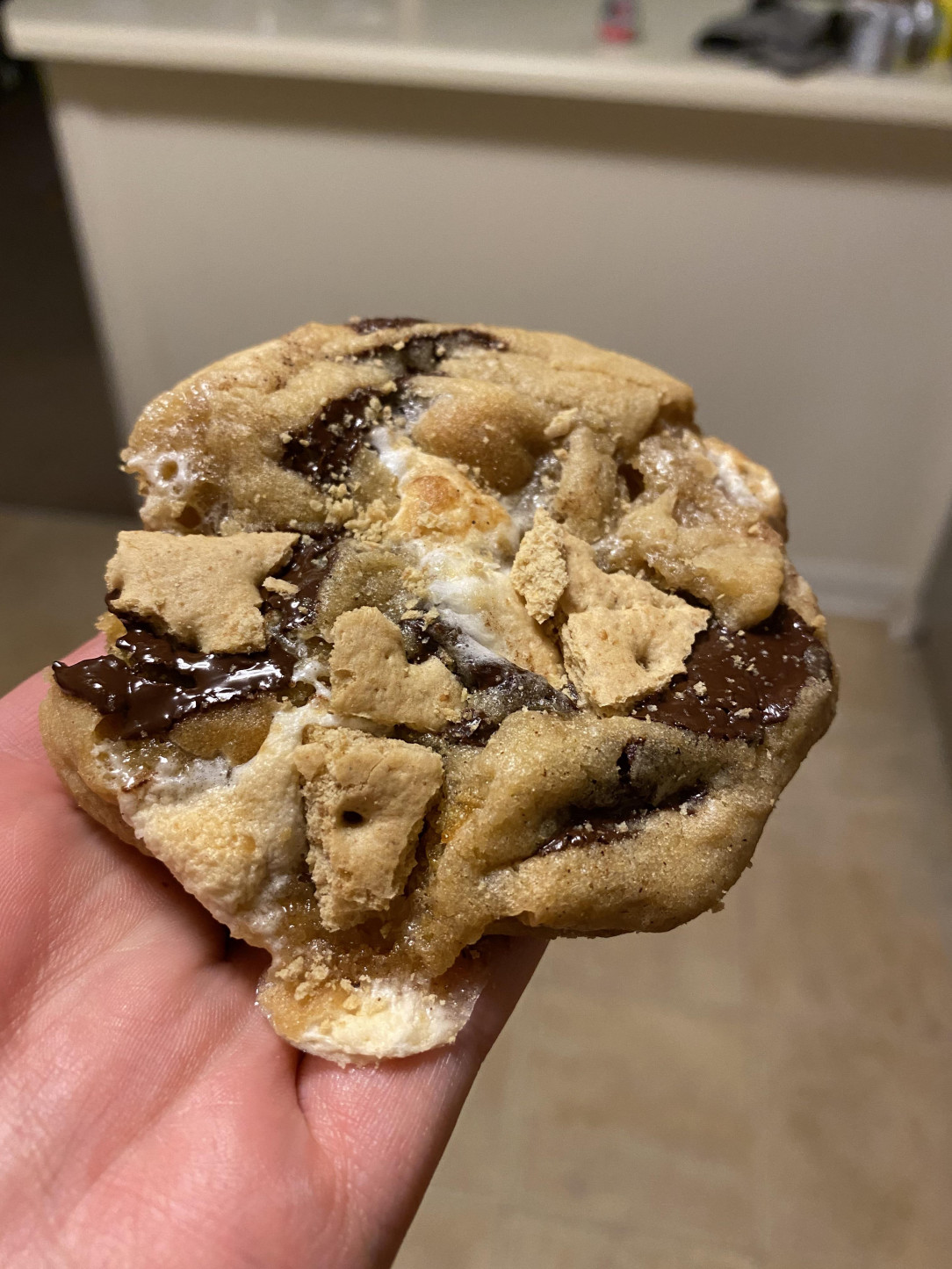 Ooey gooey dark chocolate s‘more cookies