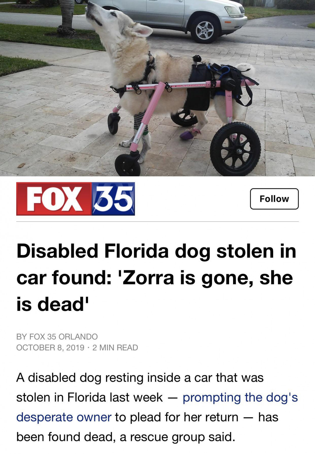 POS abandons stolen car in a pond and drowns the owners disabled dog inside 🐩