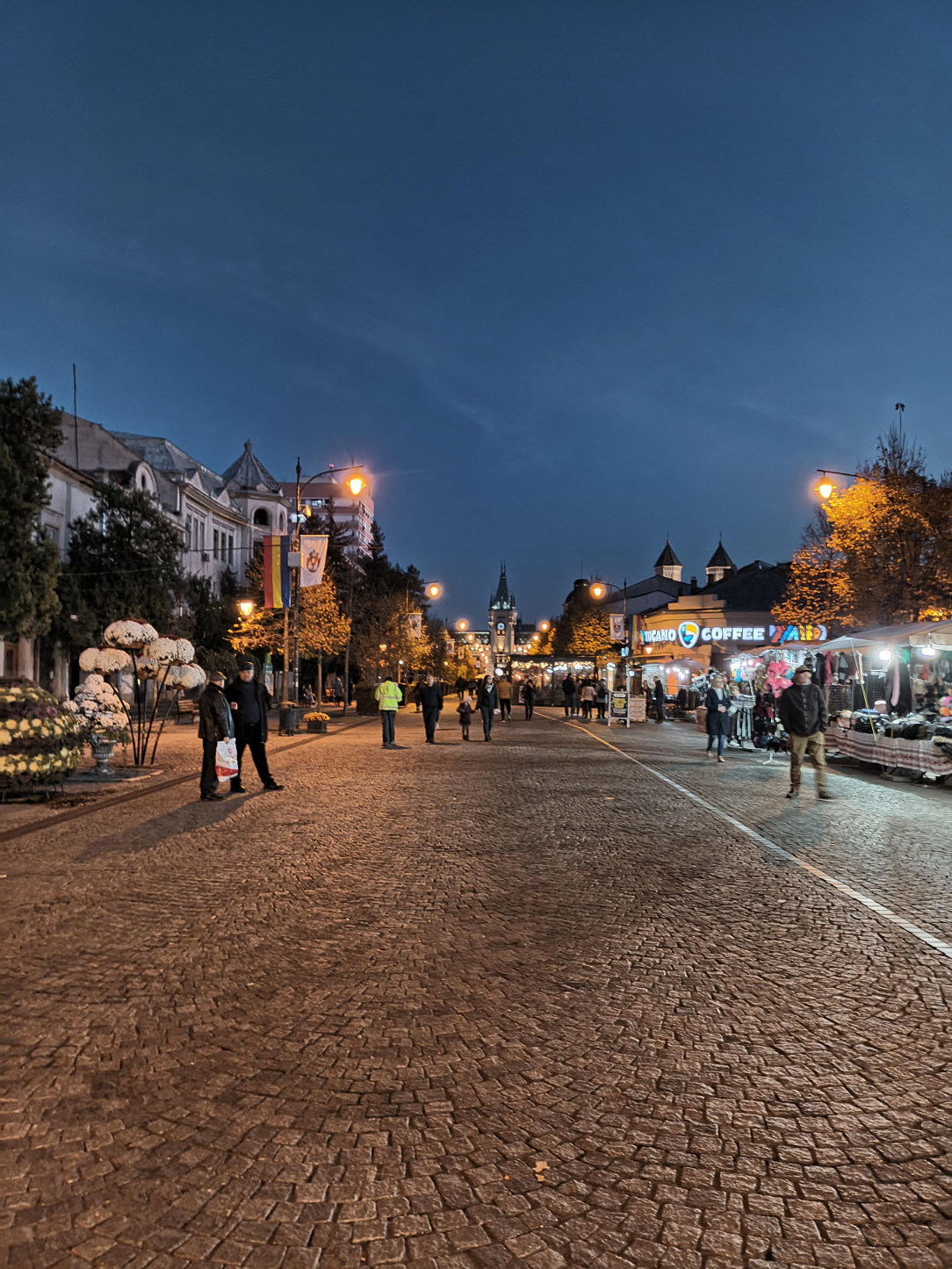 A chilly autumn evening on the Bulevardul Ștefan cel Mare și Sfânt in Iași, Romania