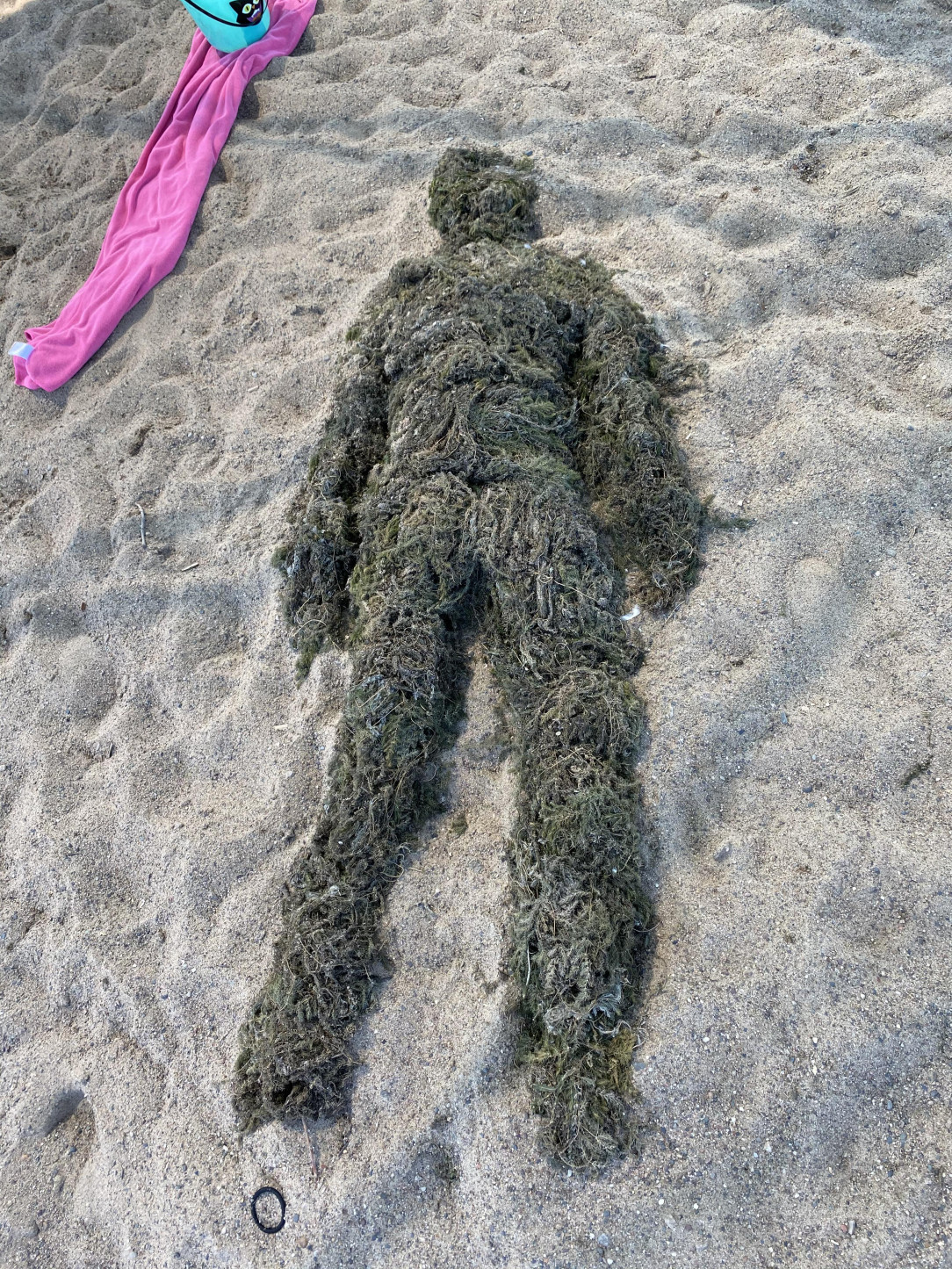 A human made from seaweed