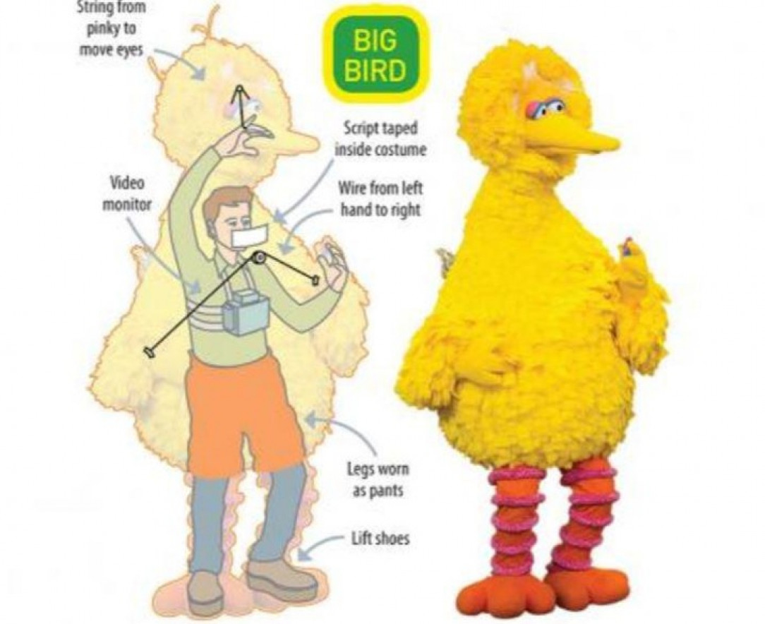 Big bird intricacies