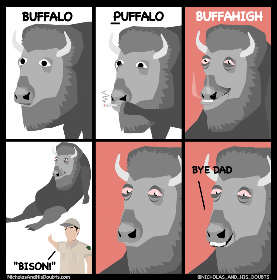 The Buffalo