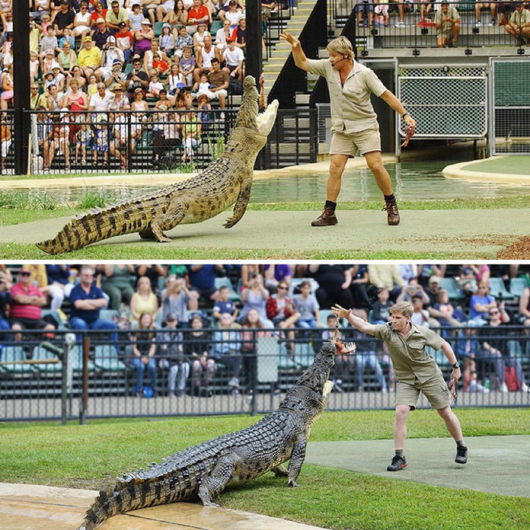 Steve Irwin and son Robert Irwin feeding the same crocodile 15 years apart