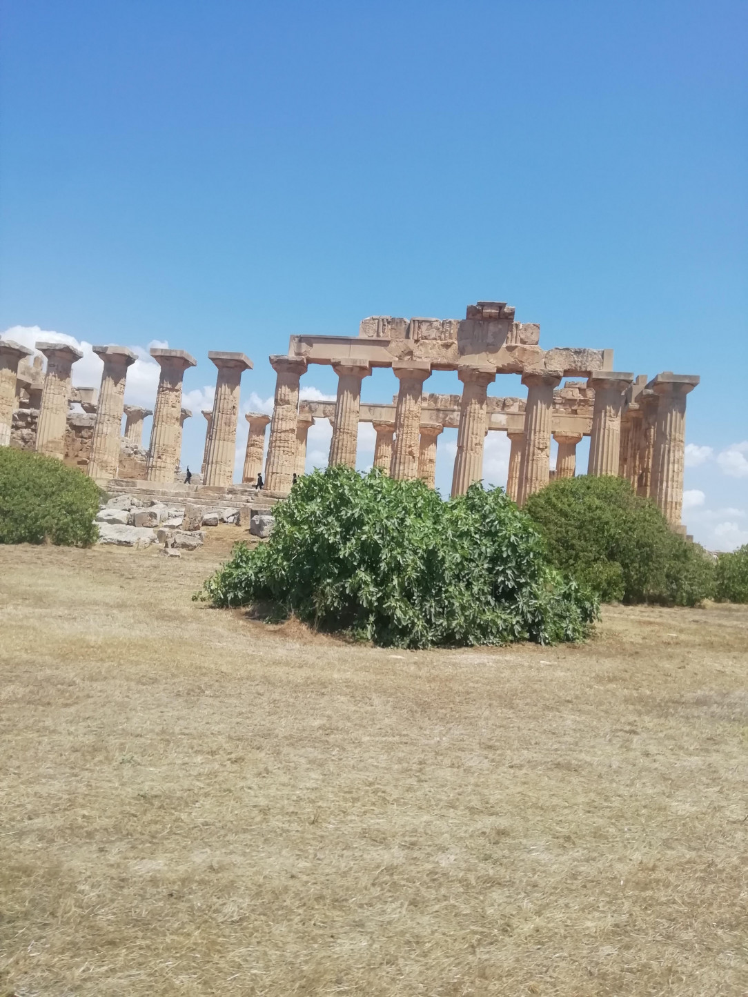 One of the temples of Selinunte, an ancient greek town in Sicily