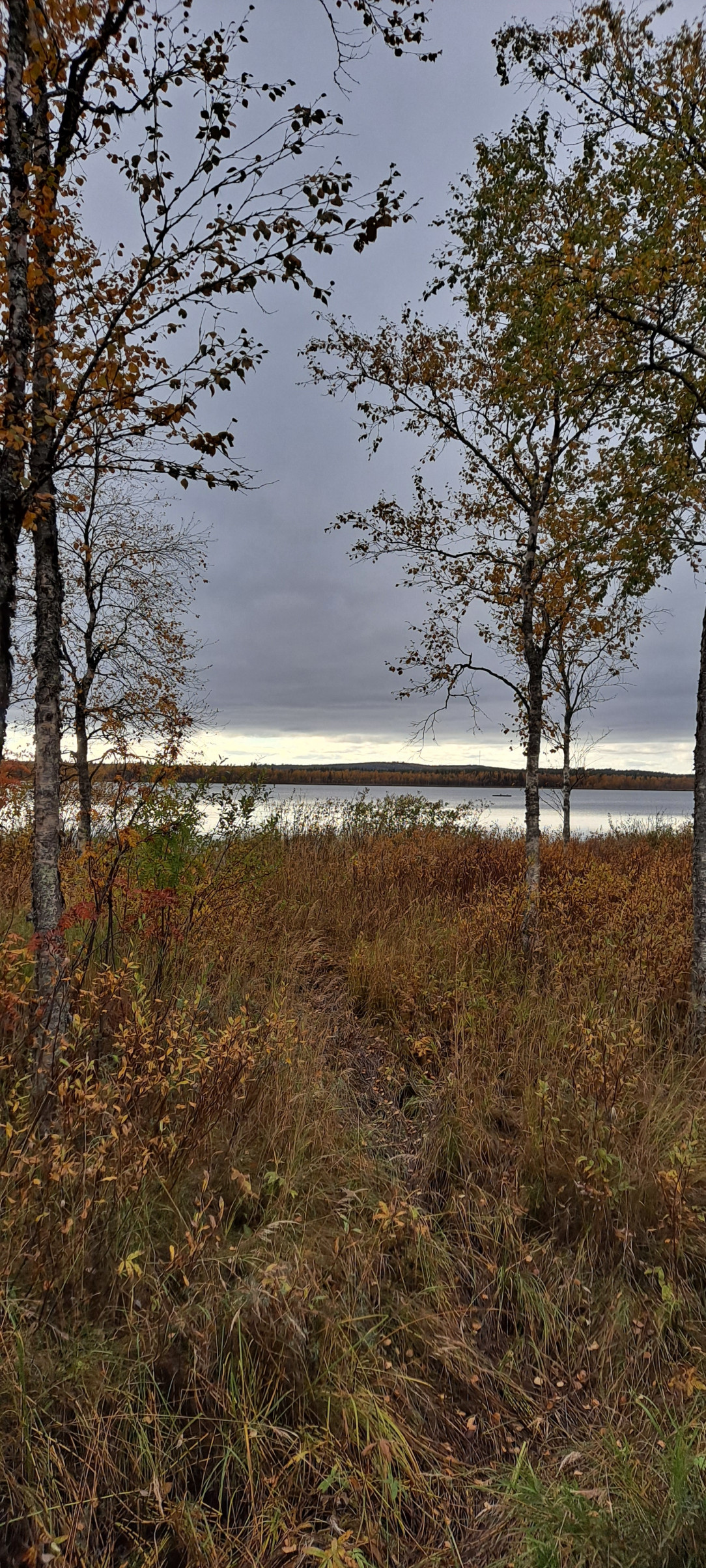 Autumn in Northern Finland