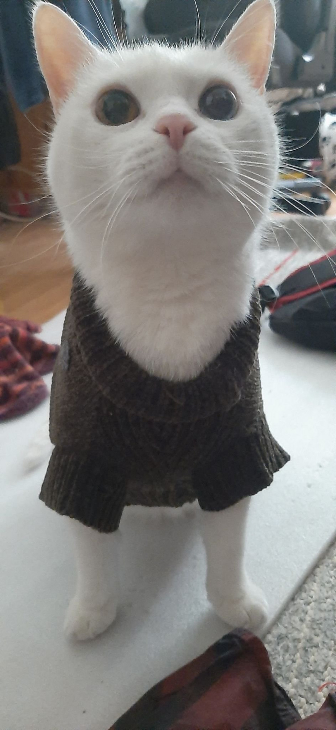 It&#039;s sweater season again