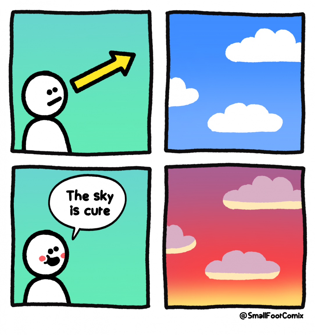 shy sky