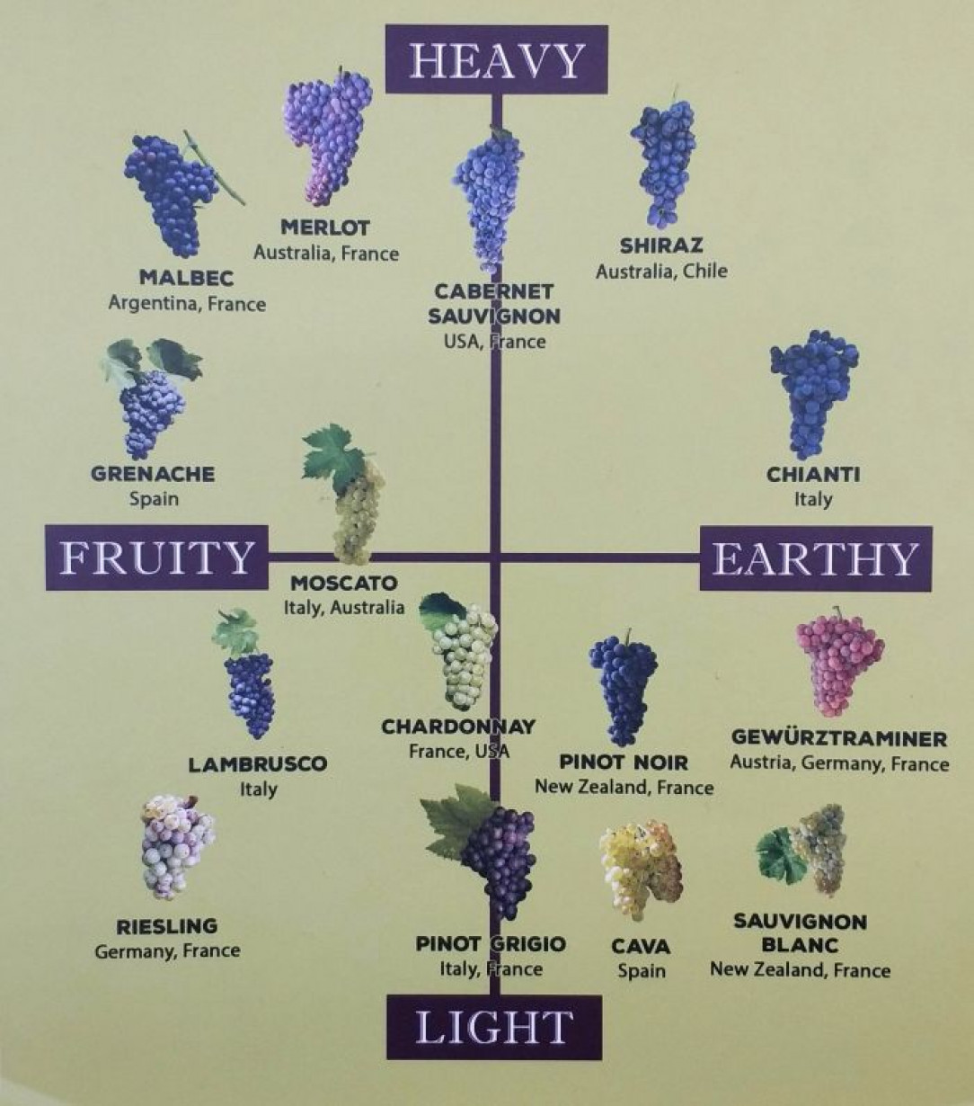 Wine Matrix