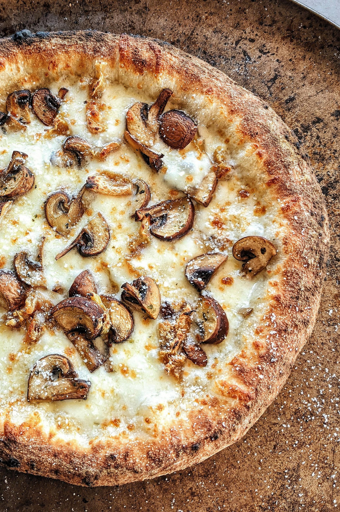 Cremini mushrooms, roasted garlic, aged mozzarella, fresh mozzarella, Romano cheese