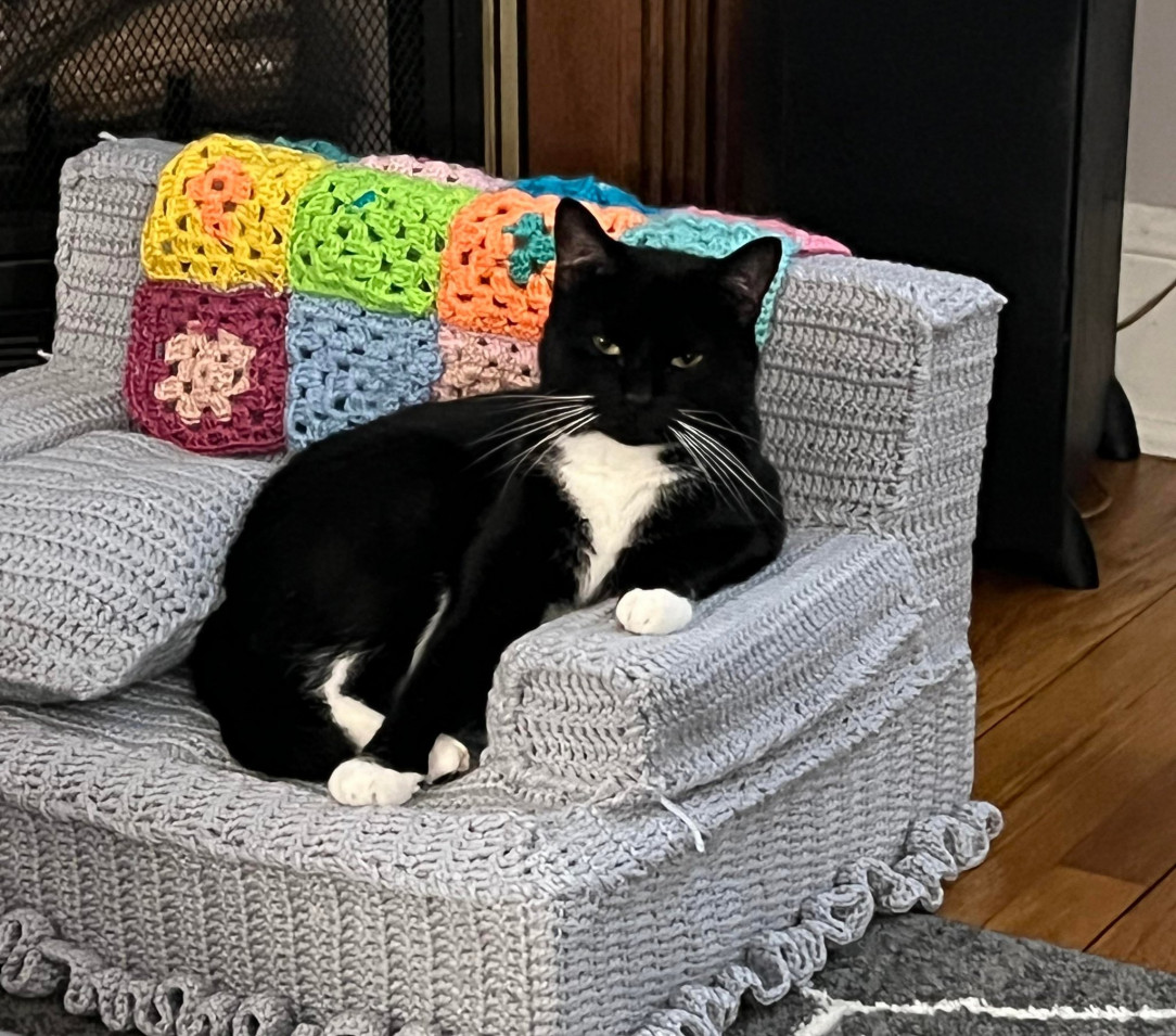 Pretending not to enjoy the tiny couch