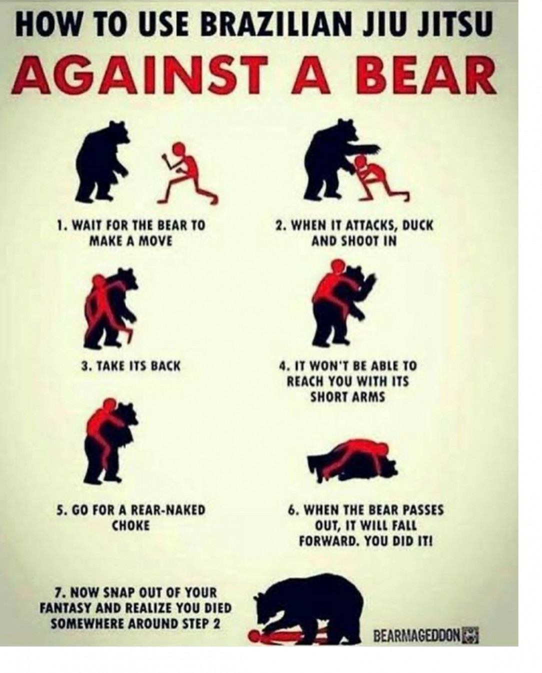 Bear. Beats. Brazilian jiu jitsu