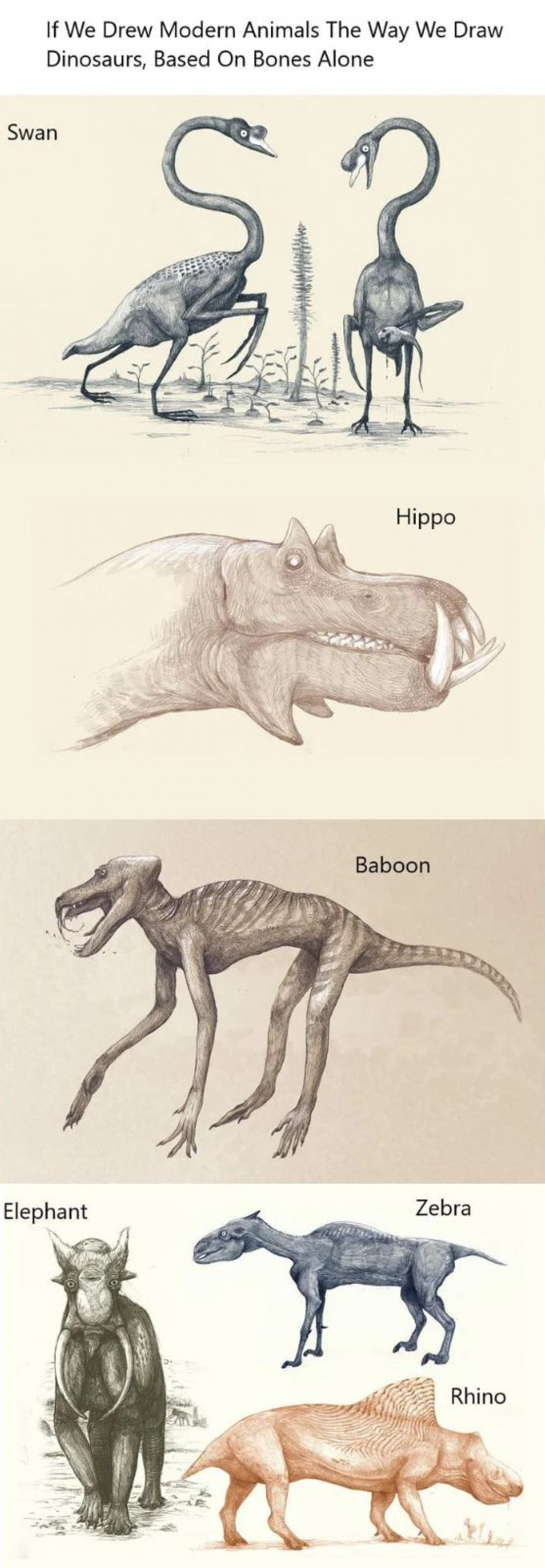 Comparing our concept of dinosaurs by using modern animal skeletons