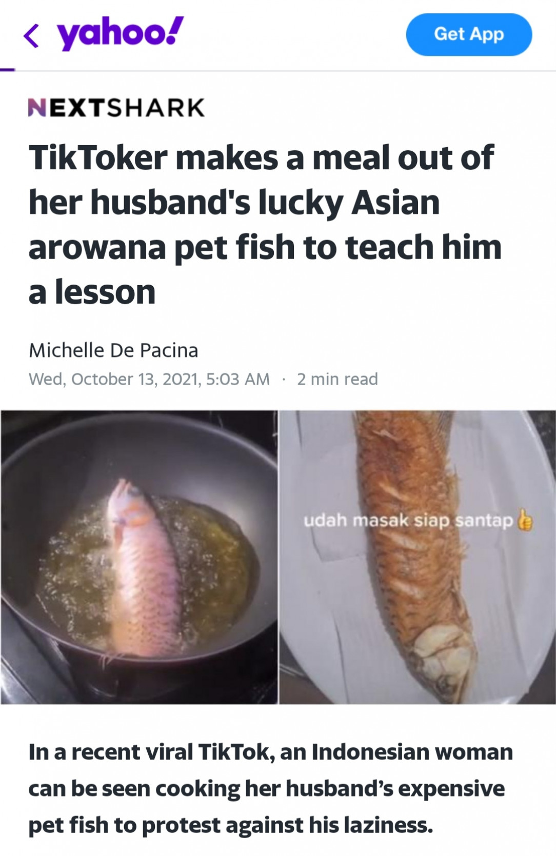 Cooking $300k Pet fish for a lesson