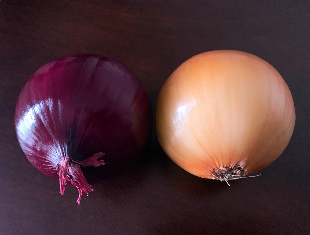 Two perfect onions. My simple contribution to 2020-21 relief. Gaze and enjoy!