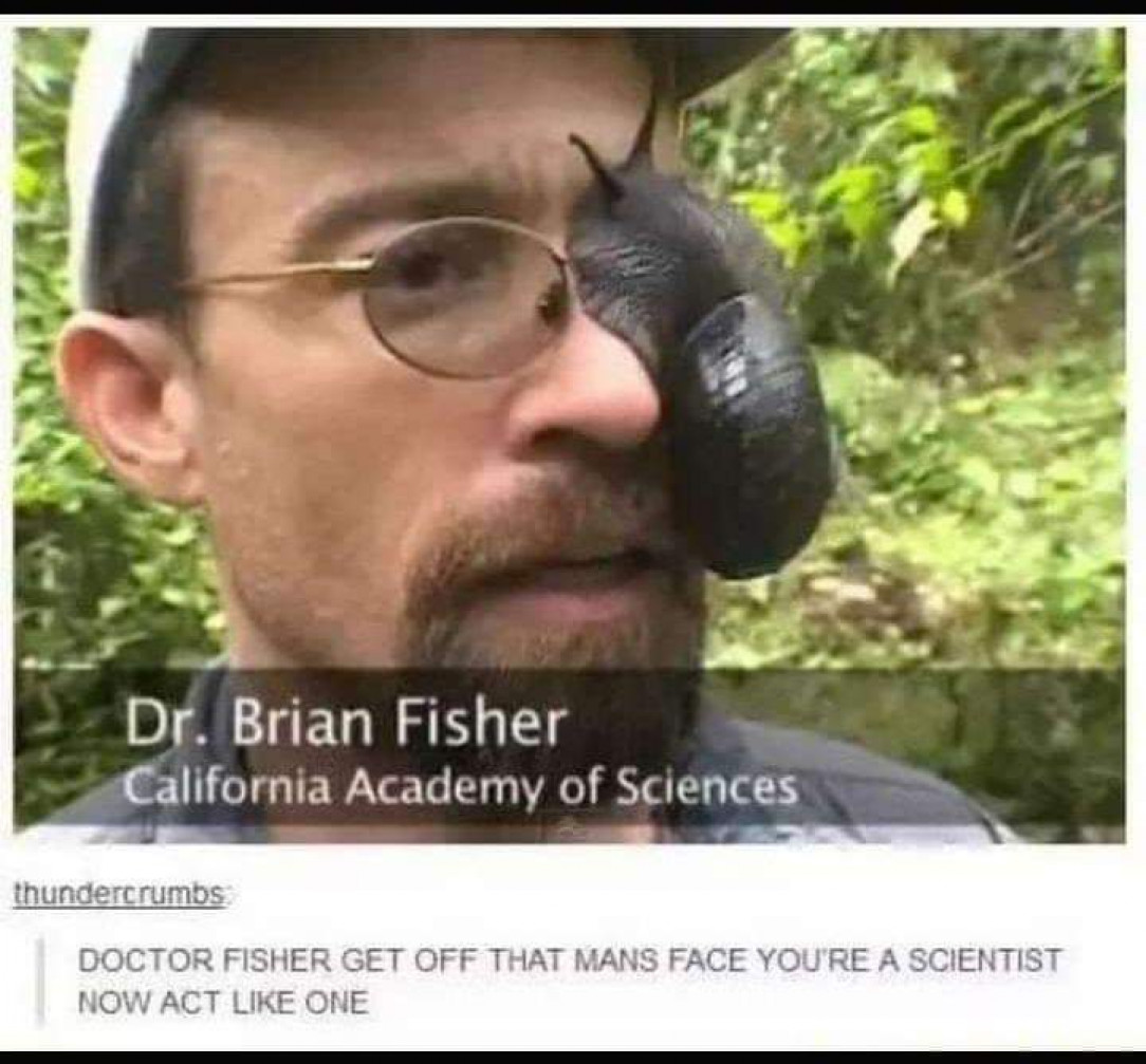 Dr. Brian Fisher the Slugeye