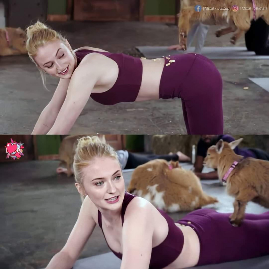 Sophie during training