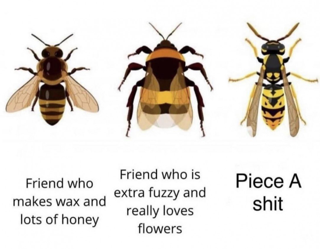 Fuck wasps