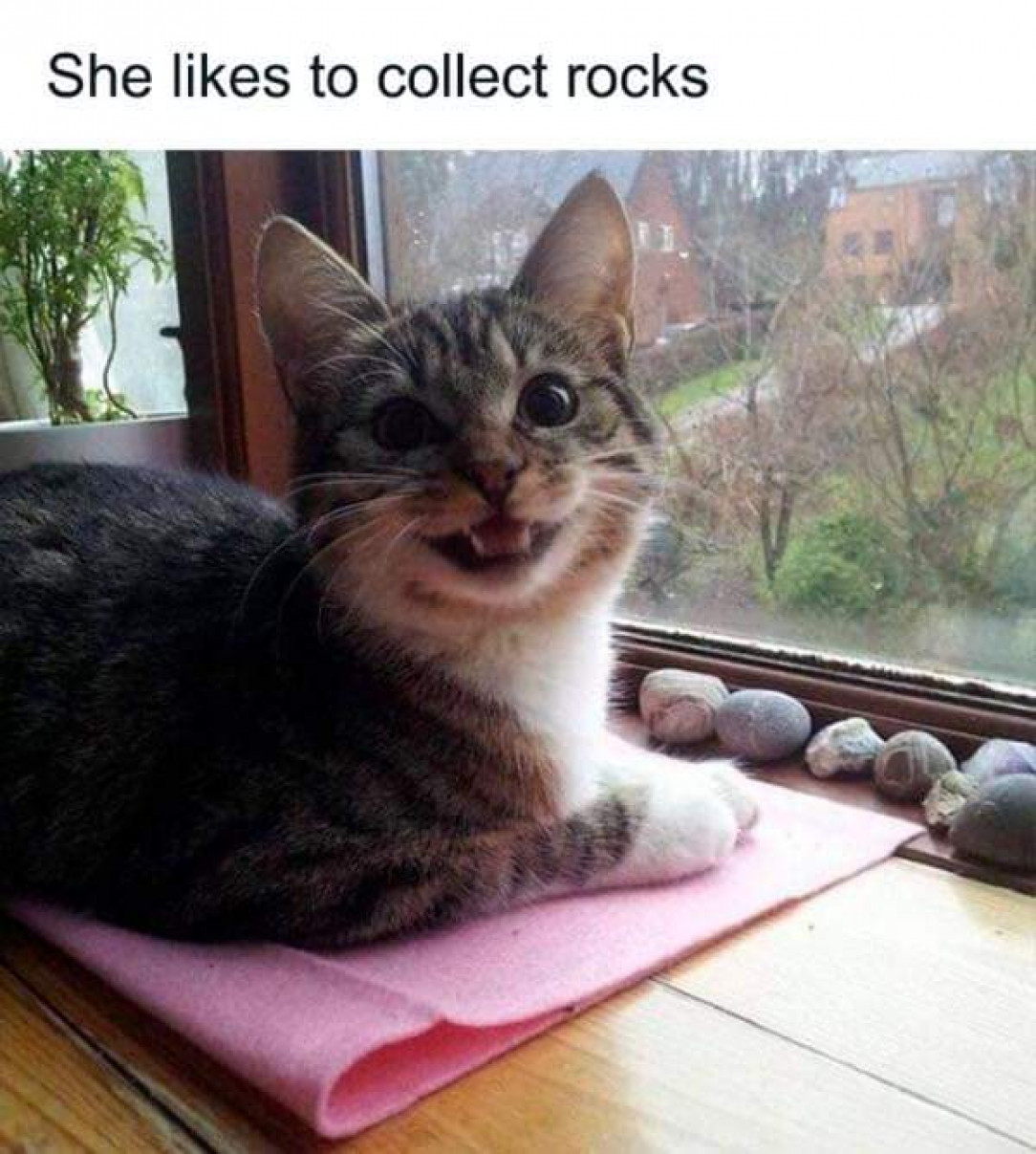 You may fascinate a woman by giving her a shiny rock