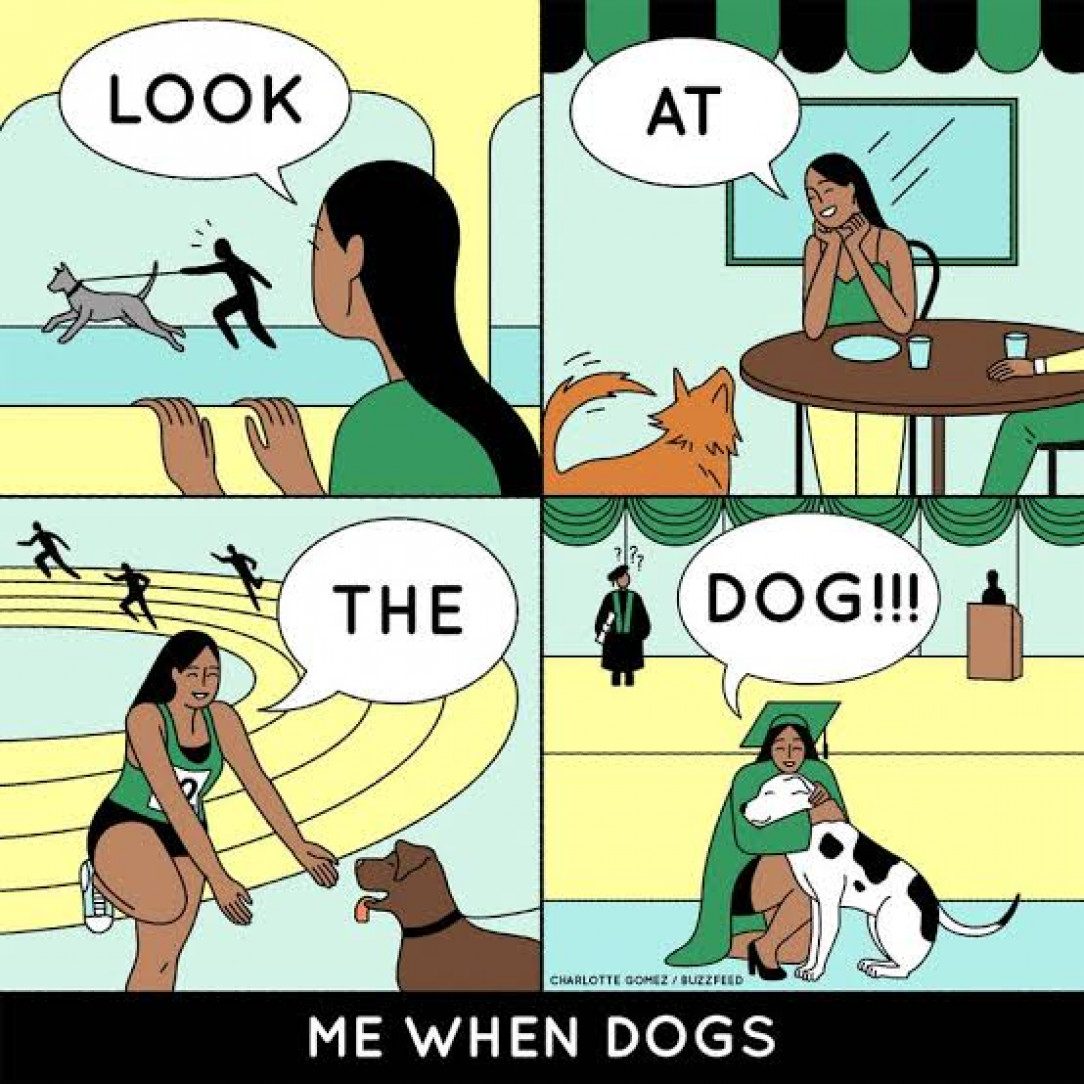 Dogs are life