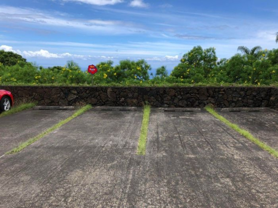 Grass being used as parking space lines rather than paint