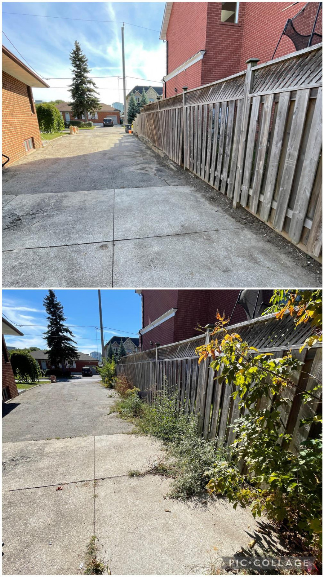 Cleaned this property up today - before/after from the driveway