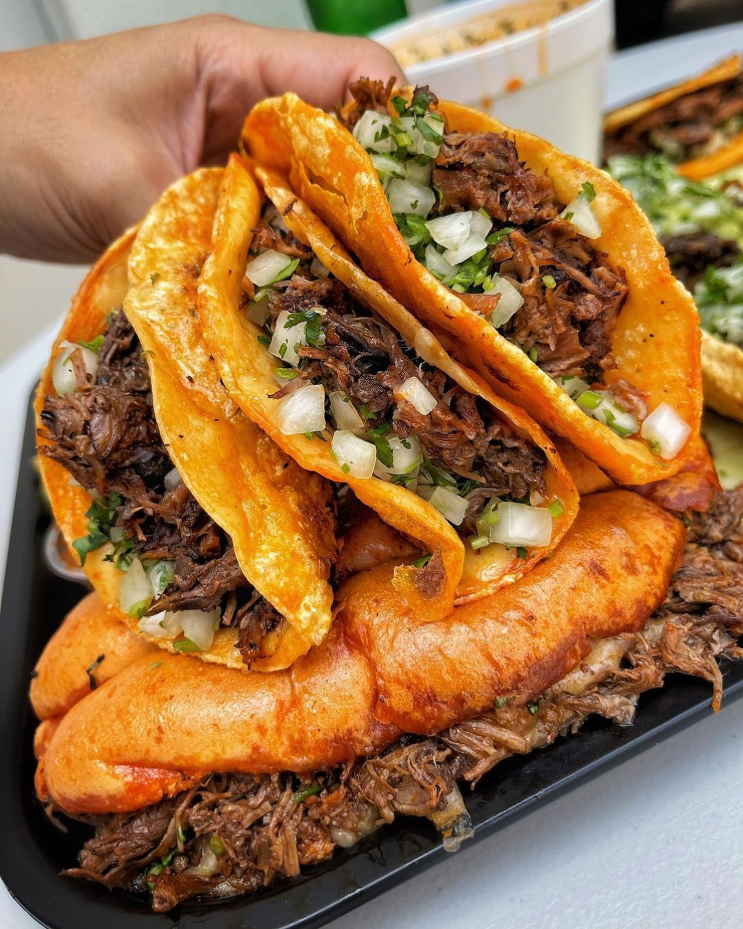 Birria Tacos