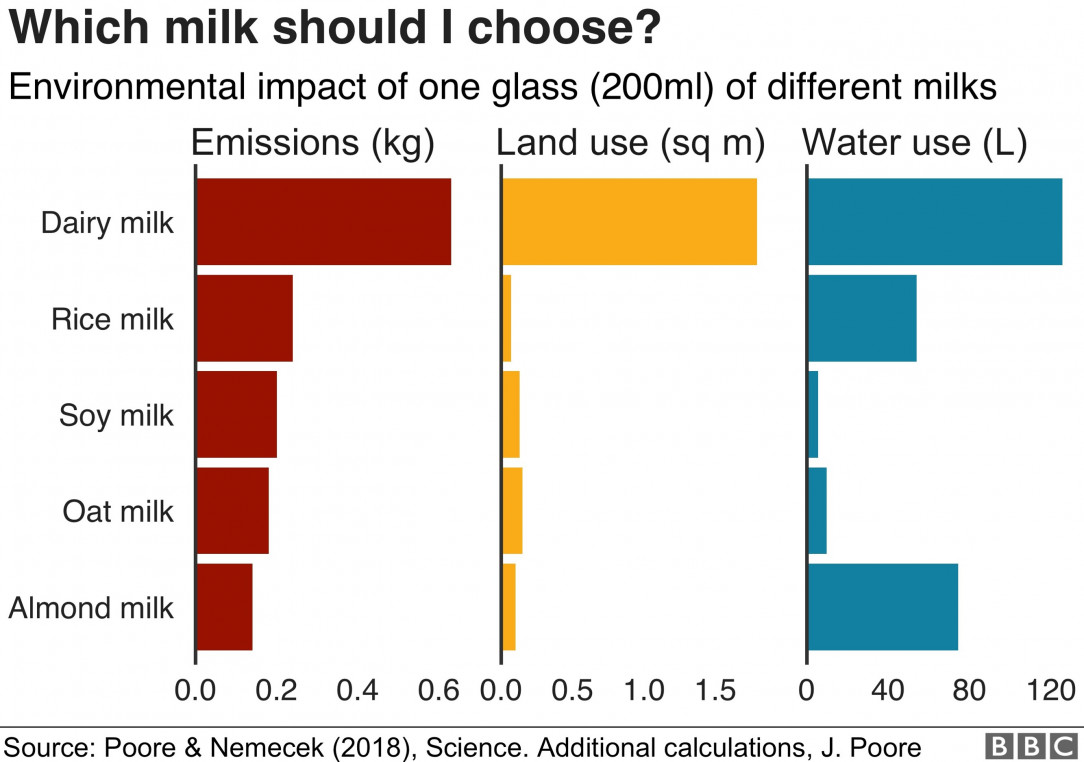 Environmental Impact of Different Types of Milk