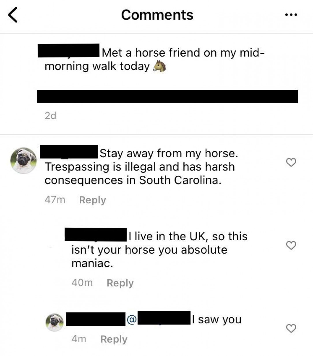 When someone in another country thinks you trespassed onto their land to take a photo of their horse