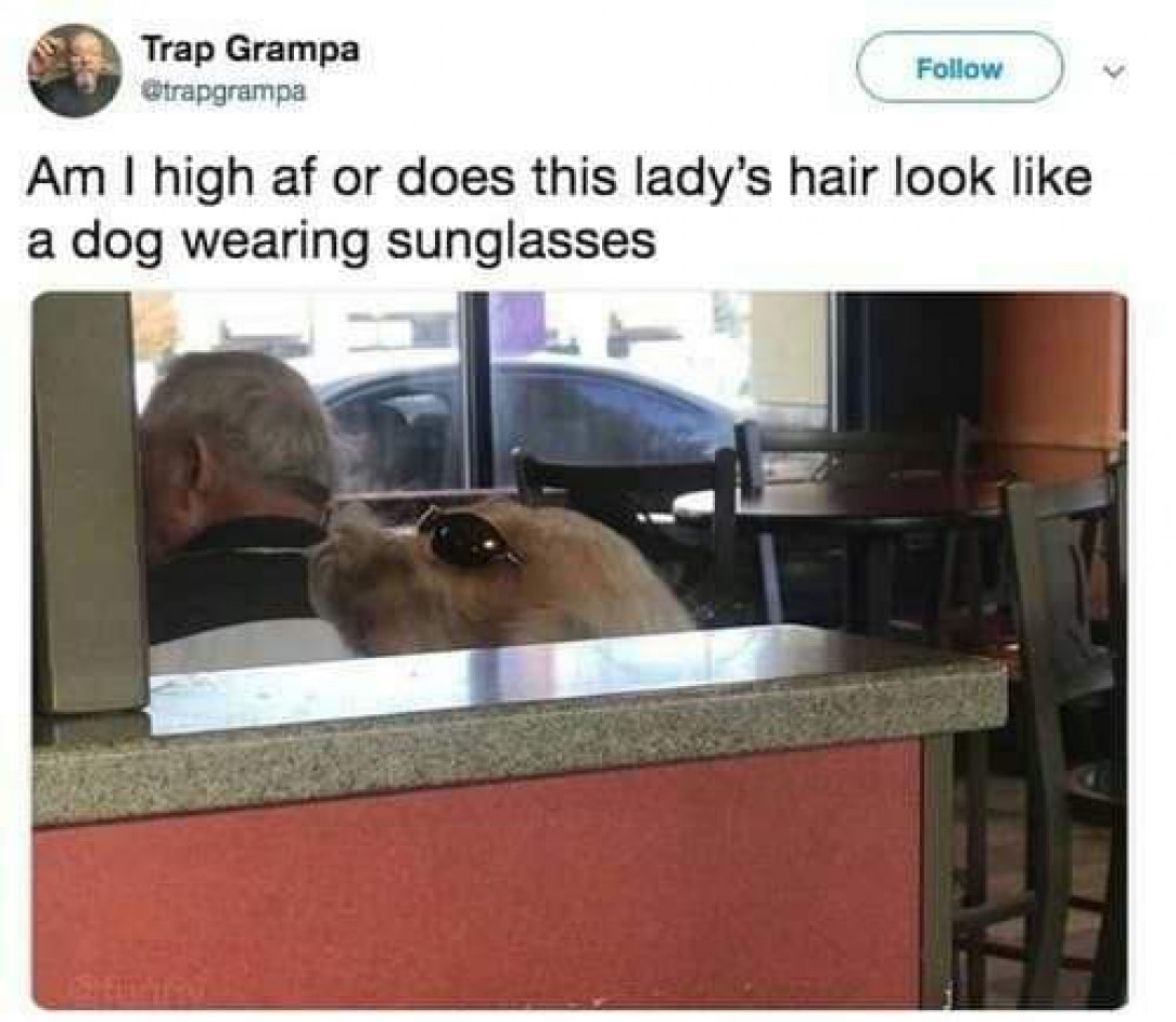 Hair that looks like a dog with sunglasses, actually looks pretty neat 🐕