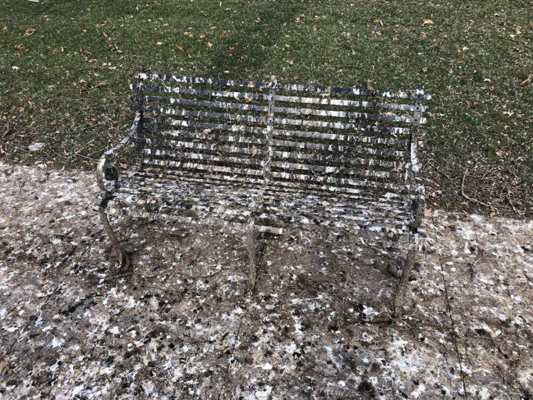 There&#039;s a park bench somewhere under this crow poop
