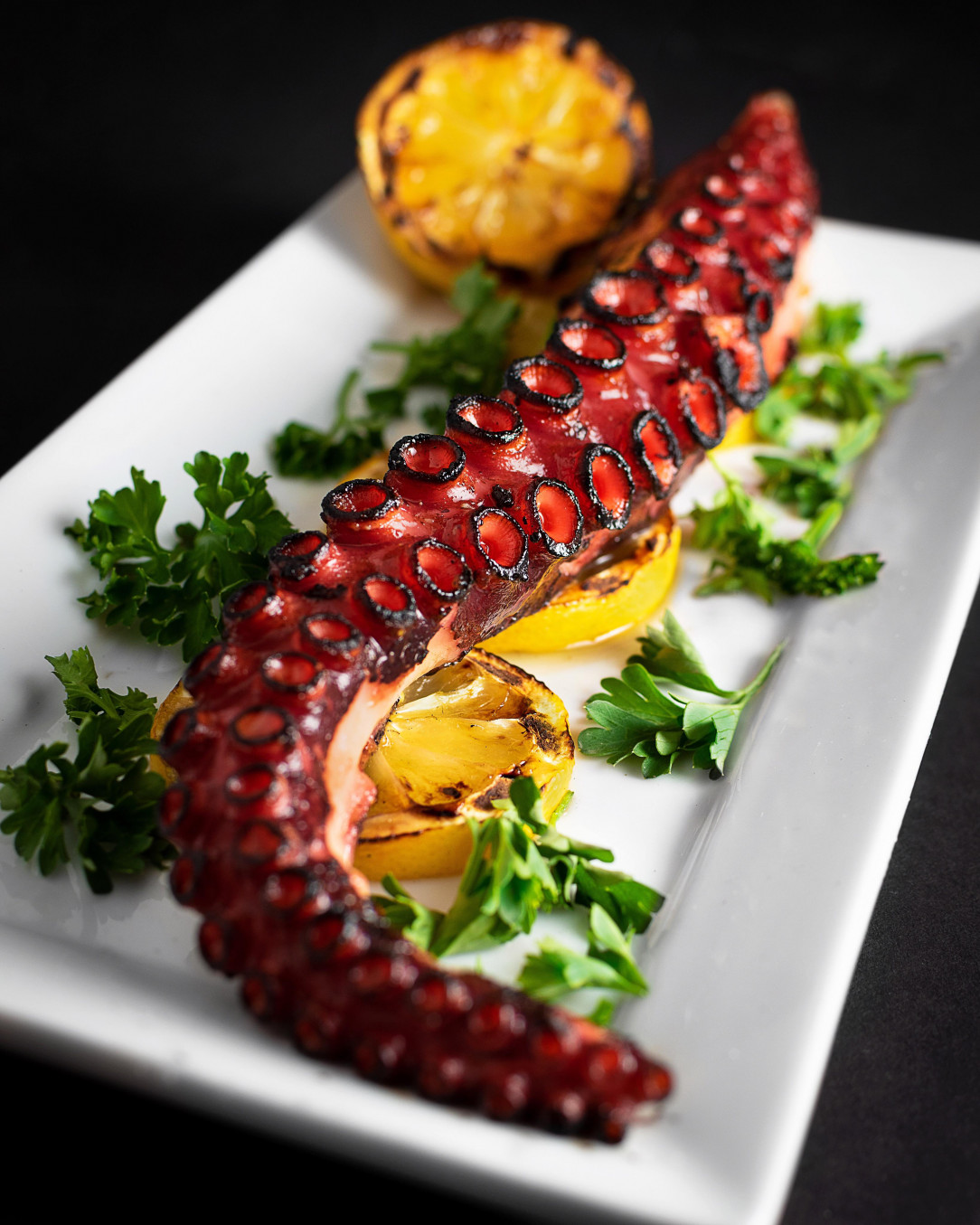 Grilled octopus