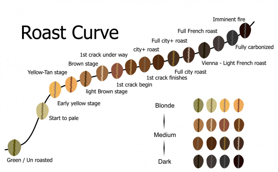 Roast guide of coffee