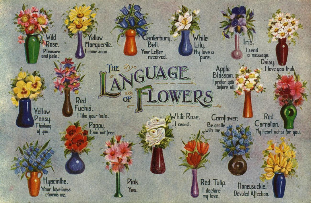 Language of Flowers