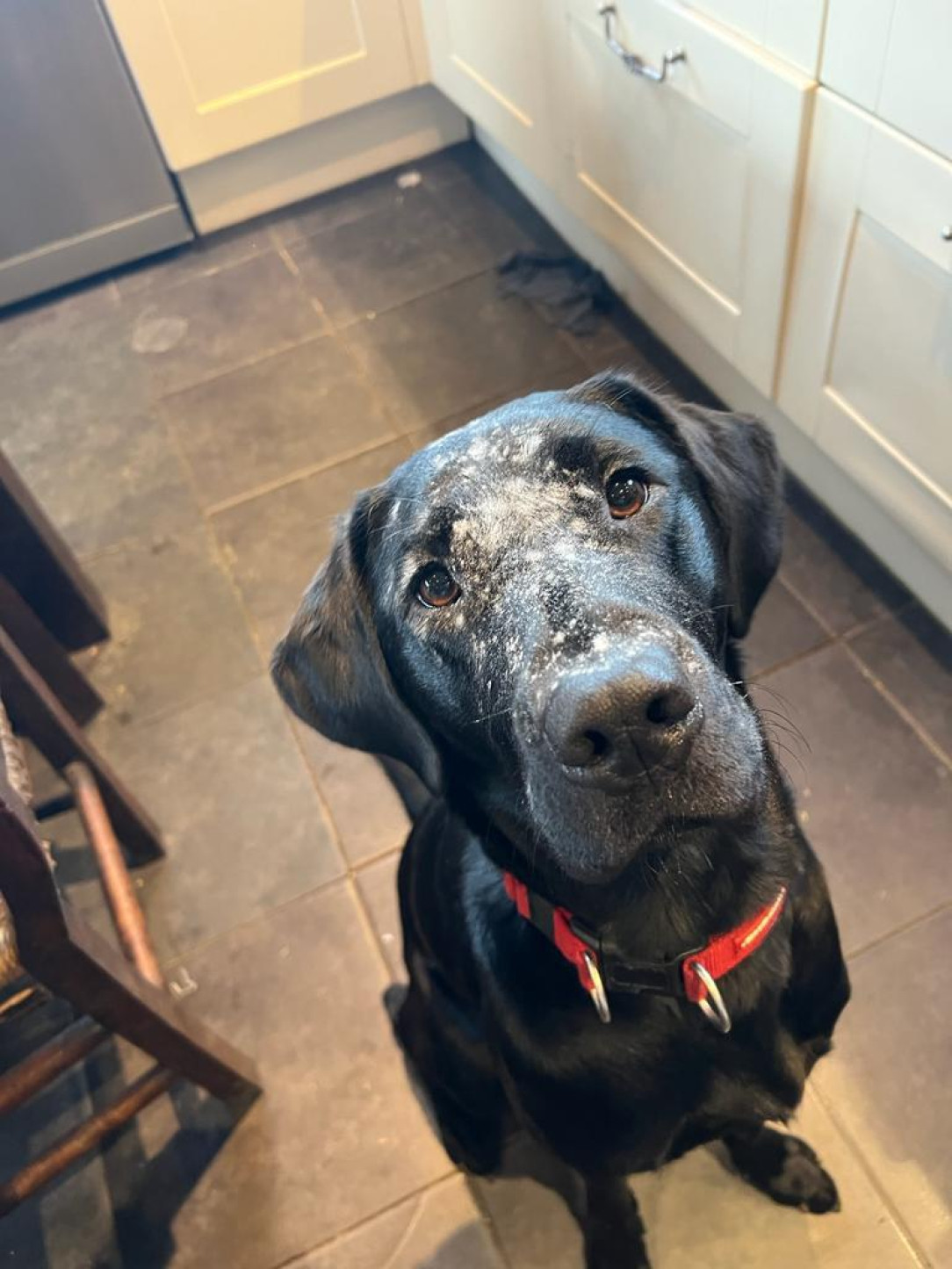 Comet the sous-chef
