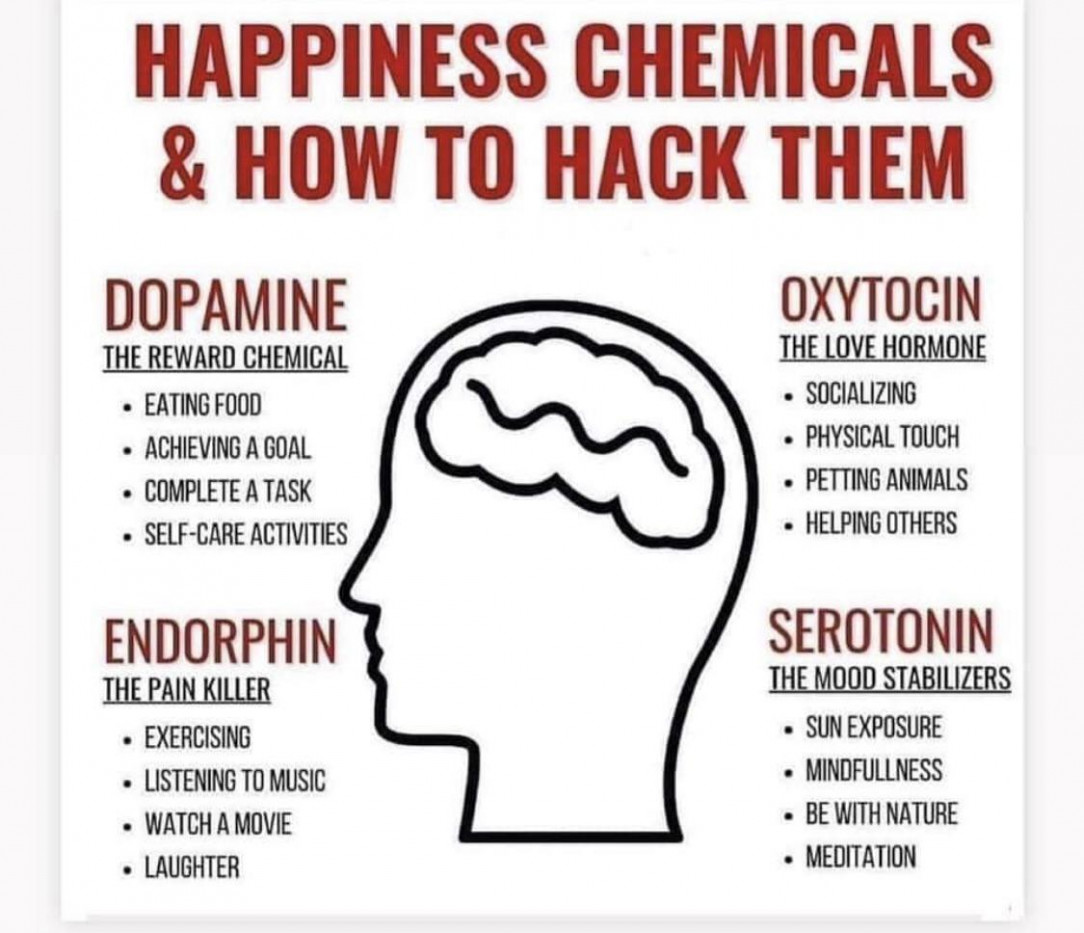 Hack your brain chemicals