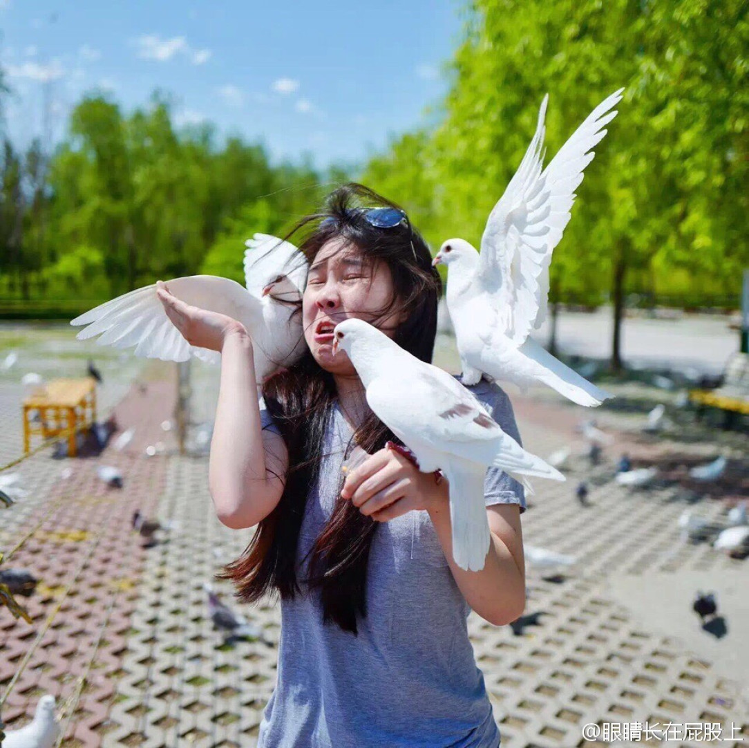Women decides to play with pigeons