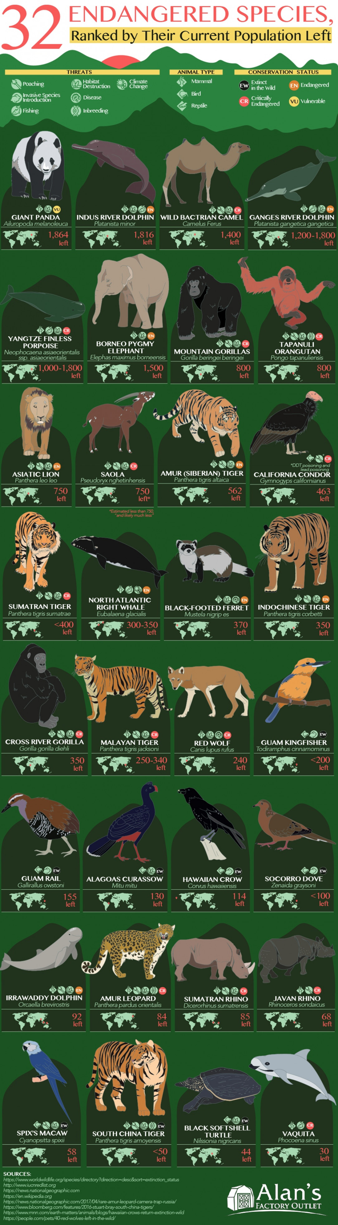 32 endangered species, ranked by how many are currently left