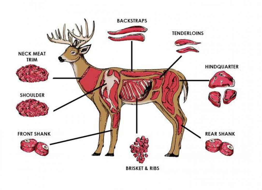Deer-meat-chart
