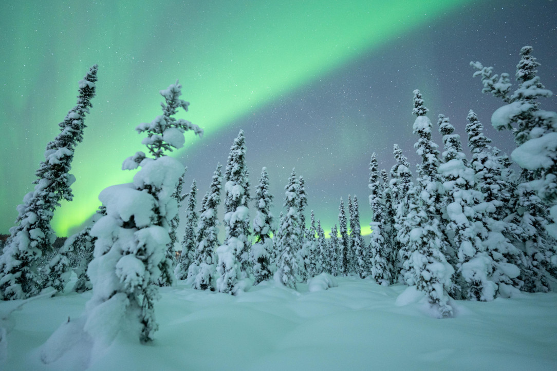 The aurora borealis last night in Fairbanks, Alaska
