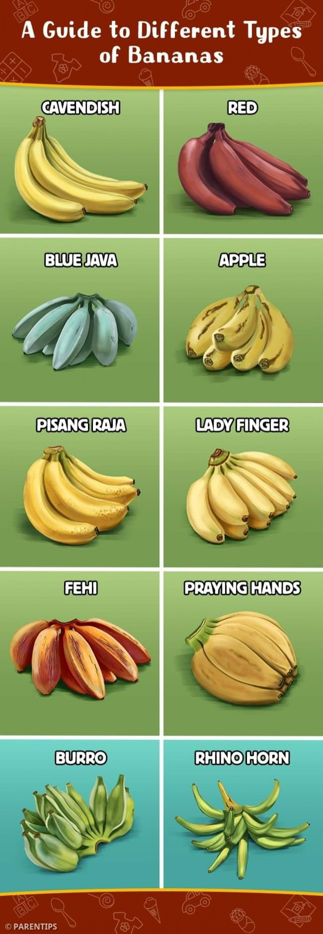 Types of bananas