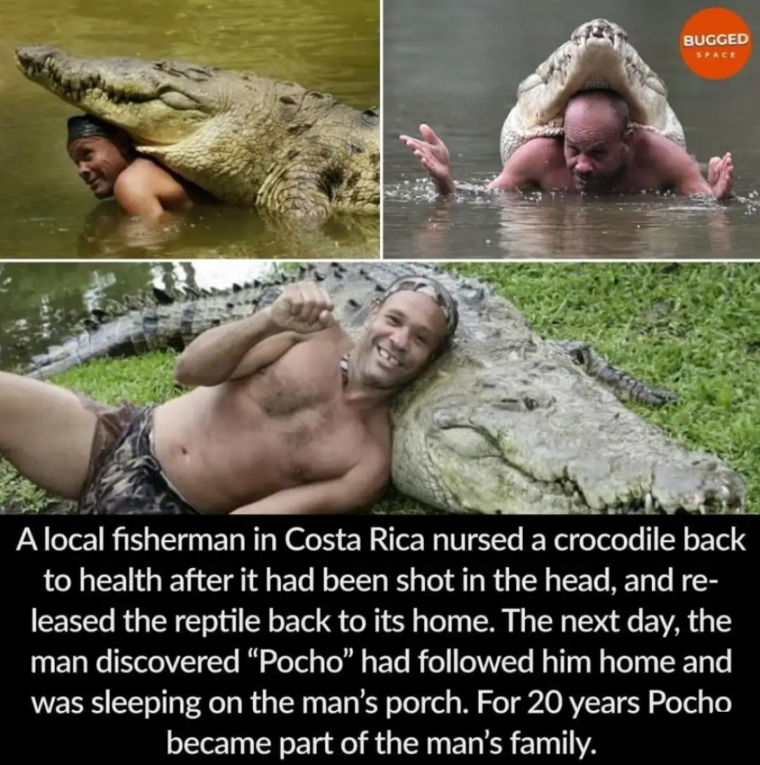 Fisherman and Pocho, protectors of Costa Rica