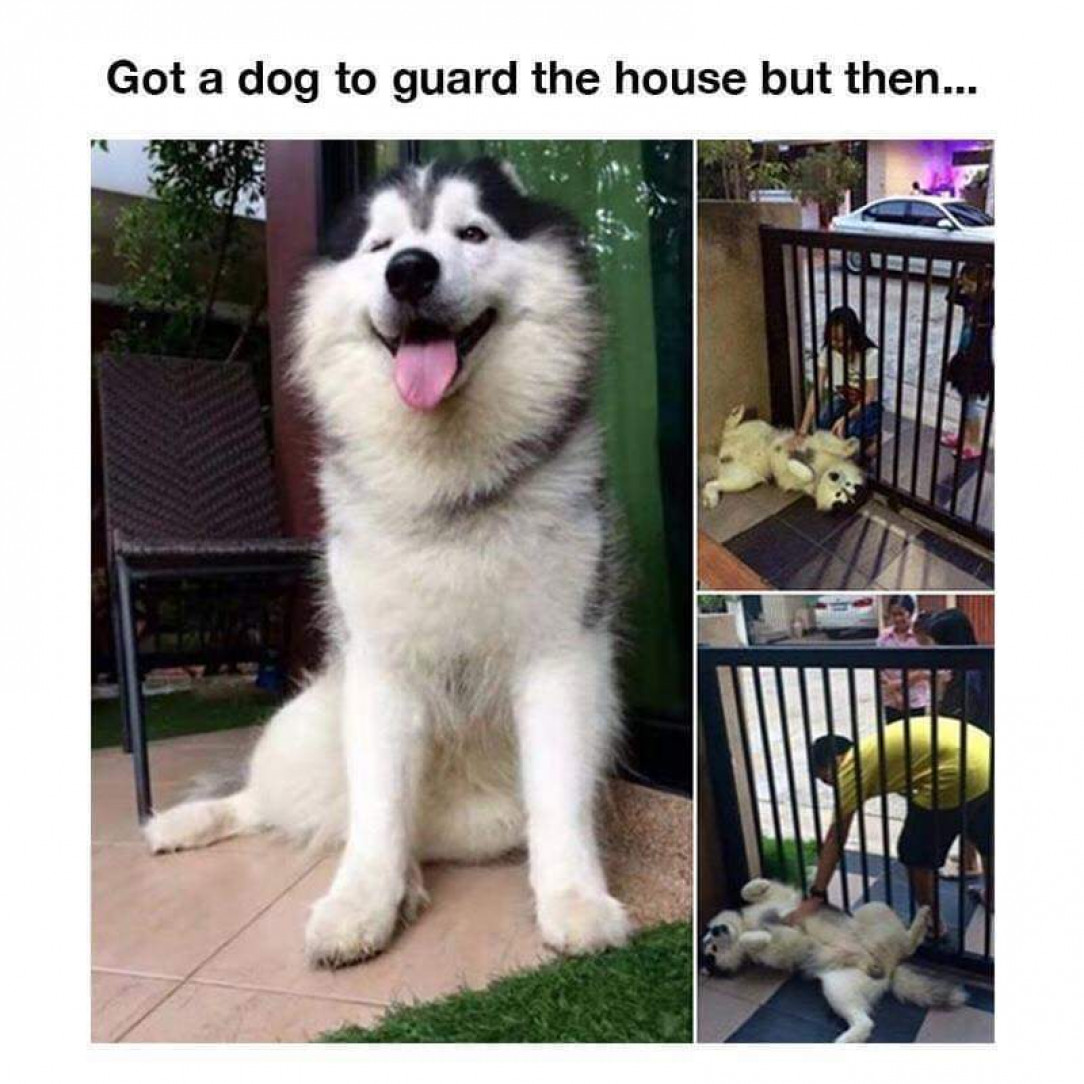 heavy security