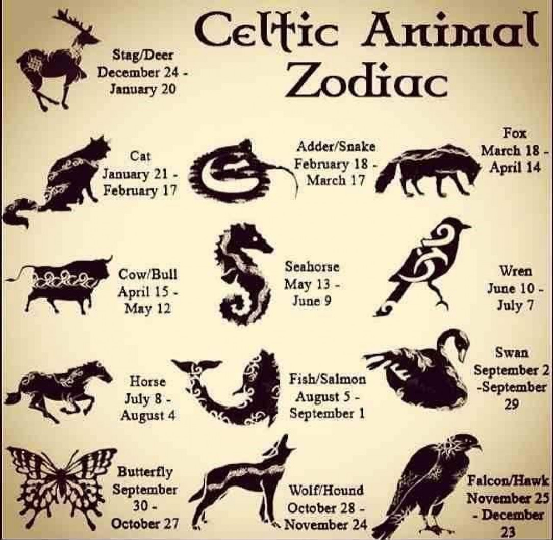 Celtic Animal Zodiac