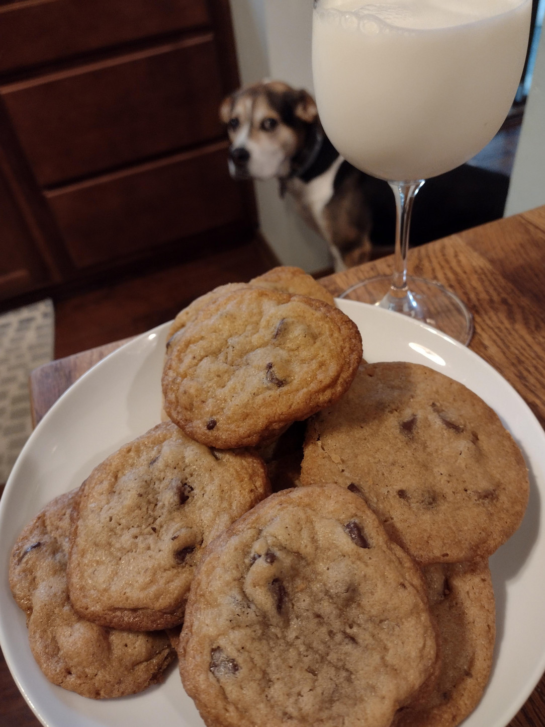 Chocolate chip cookies and milk