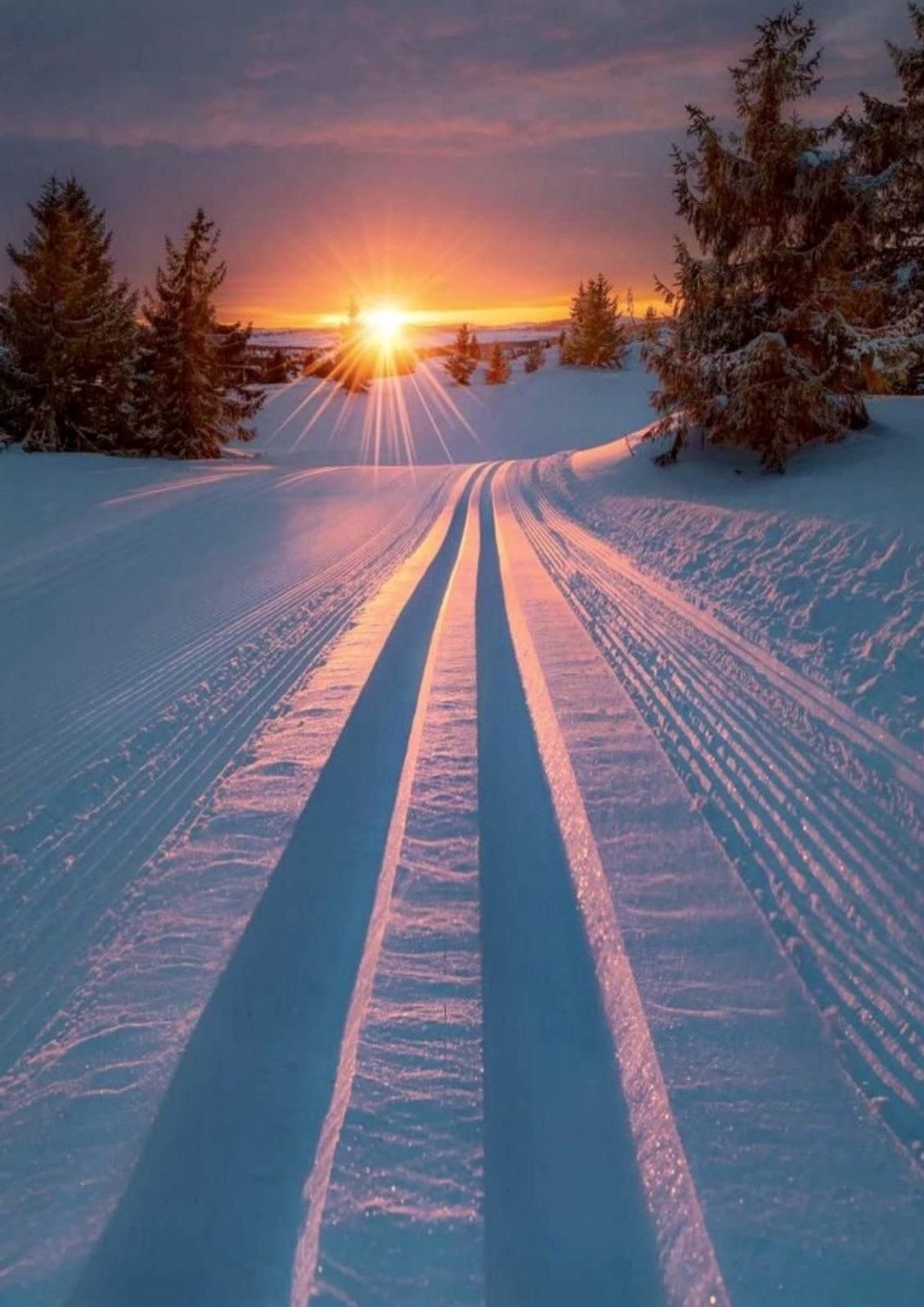 The combination of colors in this sunset on snowy ground