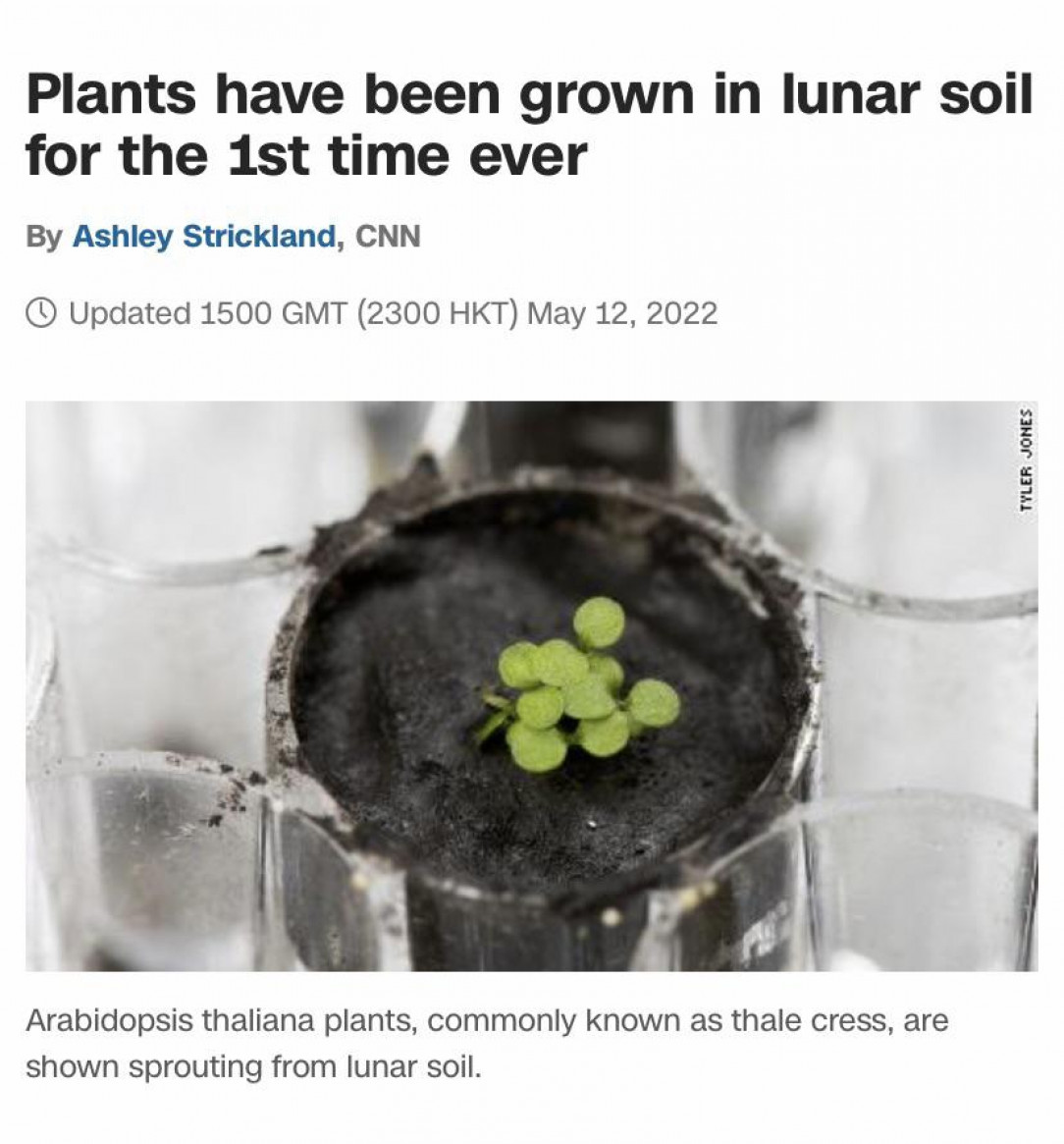 The first plants in lunar soil