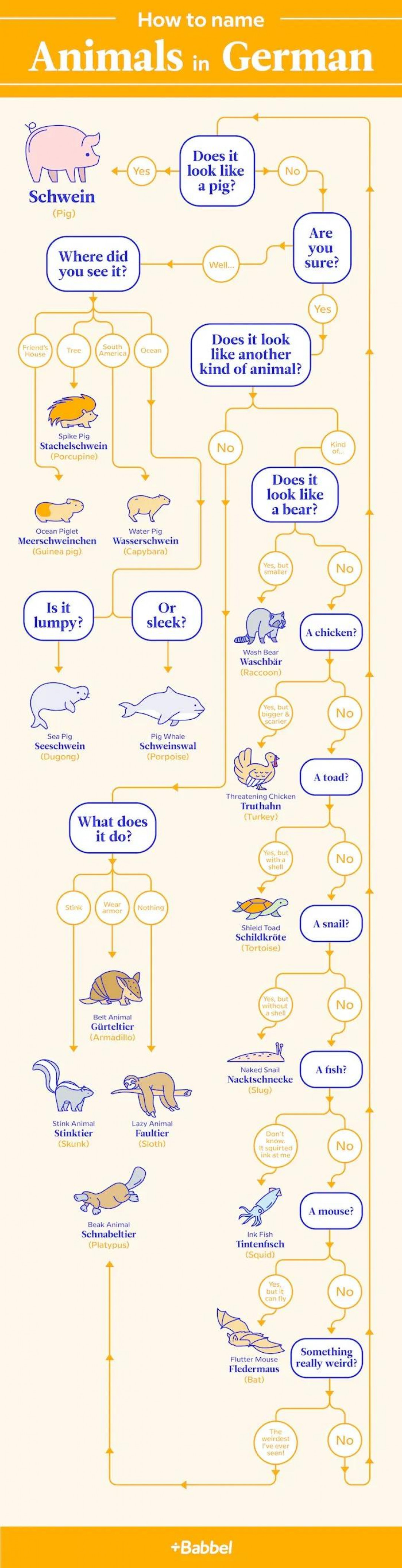 Naming animals in German [by John-Erik Jordan for Babbel magazine]