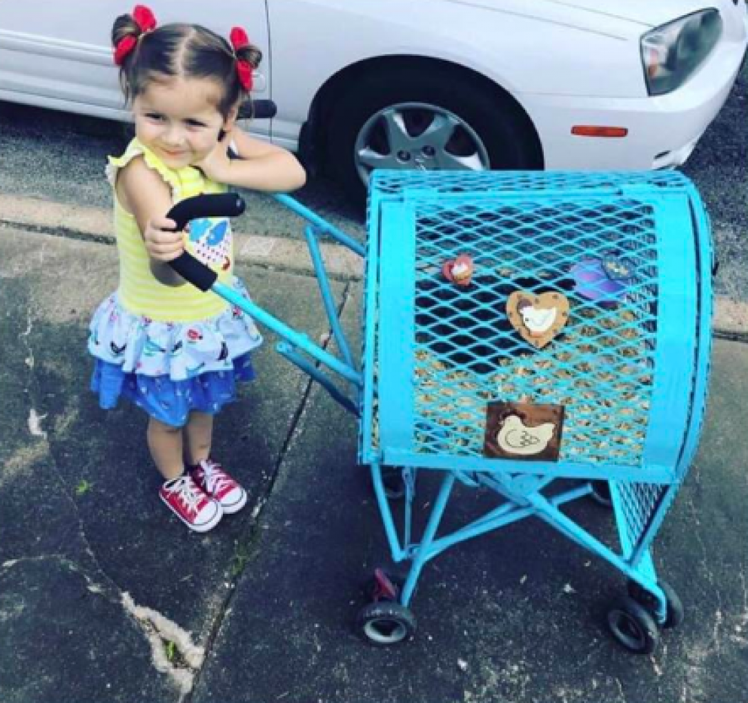 She loves chickens so her dad made her a chicken stroller