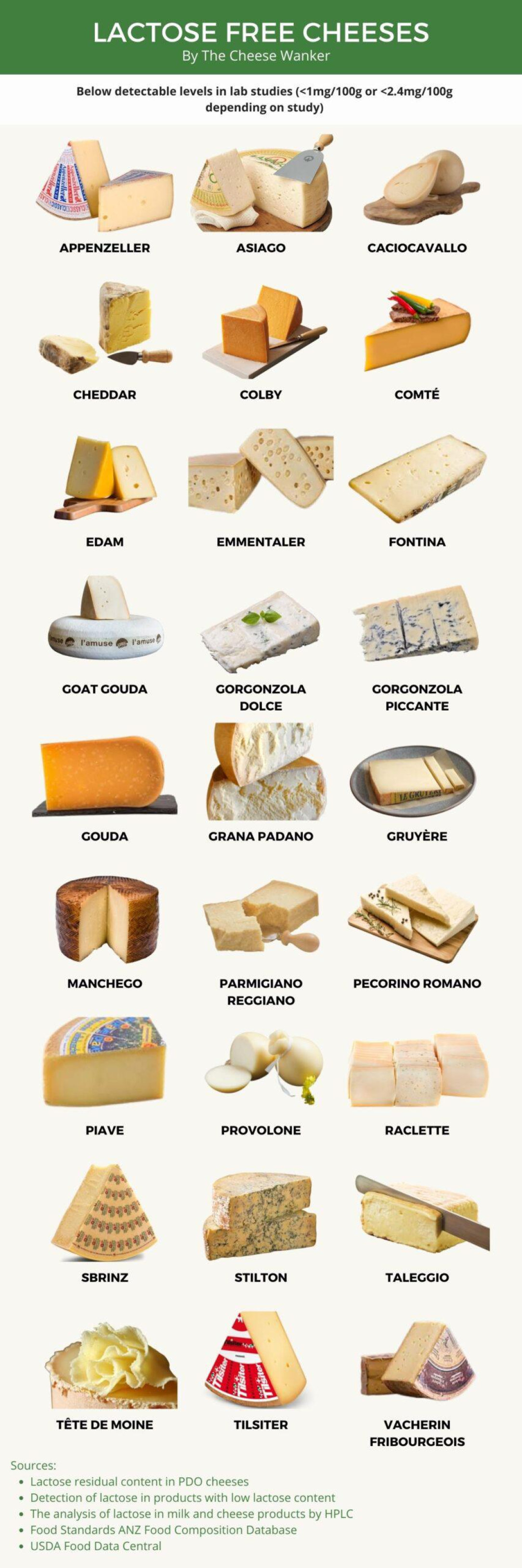 Cool Lactose Free Cheese Guide: )