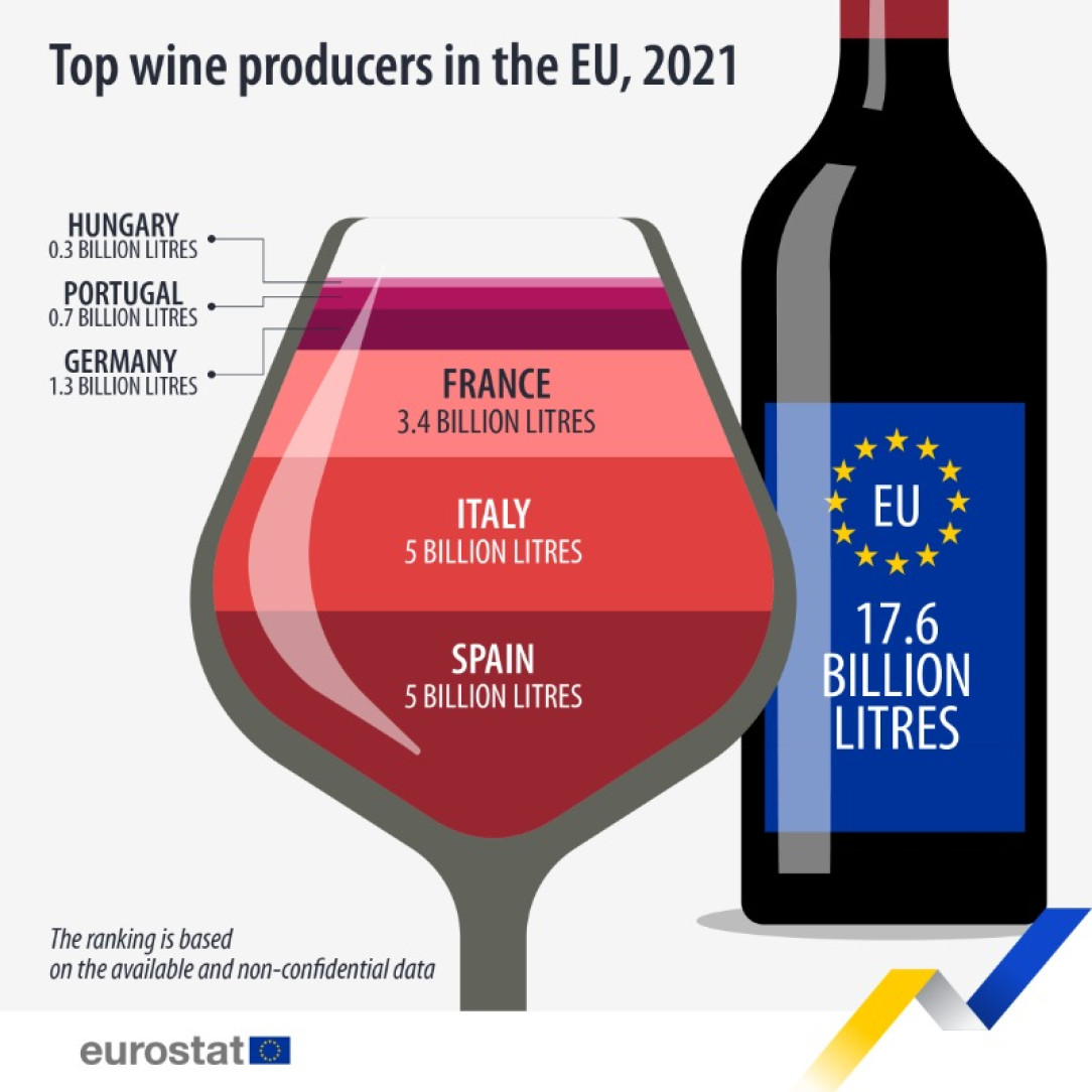 Top Wine Producers in the EU